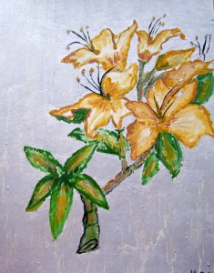 bild7